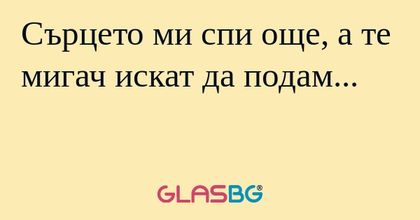 Сърцето ми спи още, а те мигач...