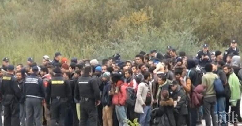 Всеки трети мигрант е получил разрешение да остане в Германия