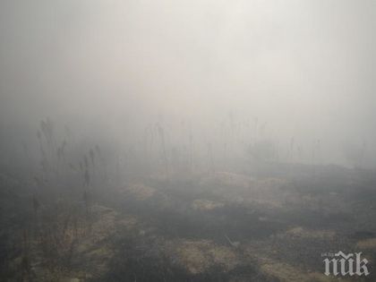 ТРЕВОГА! Русе отново обгазен, кметът свиква спешно заседание