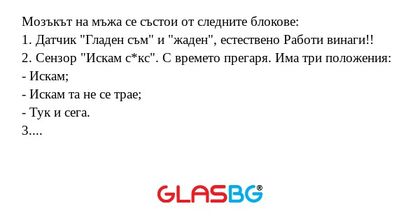 Мозъкът на мъжа се състои от следните...
