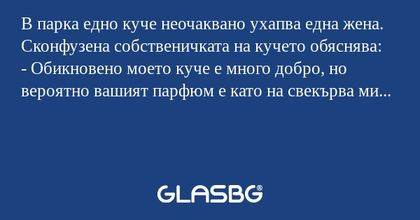 В парка едно куче неочаквано ухапва...