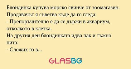 Блондинка купува морско свинче...