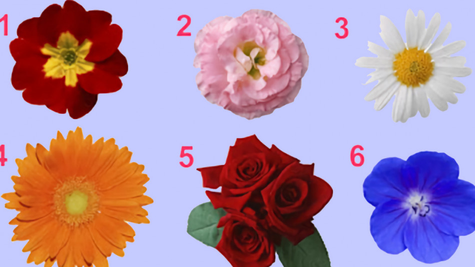 Тест за 1 минута! Избери си цвете и разкрий повече за себе си!