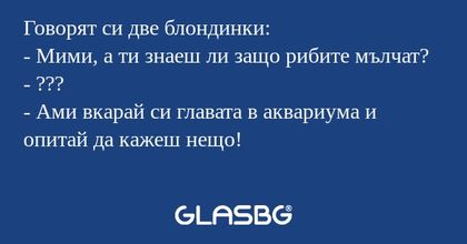 Говорят си две блондинки: - Мими...