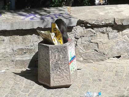 Кой хвърли в коша табелата на ул. 