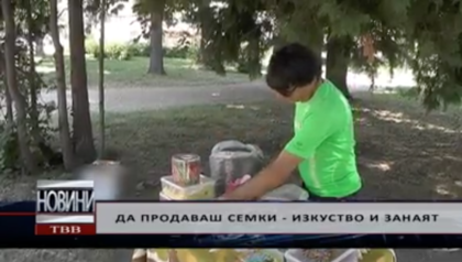 Да продаваш семки – изкуство и занаят! Вижте тайната на хубавия слънчоглед ВИДЕО