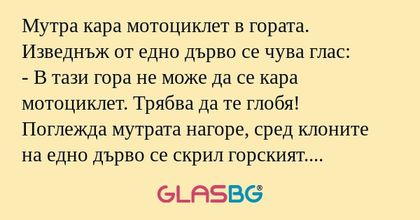Мутра кара мотоциклет в гората...