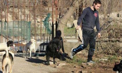 Ученици излизат на протестно шествие заради смъртта на Тодор