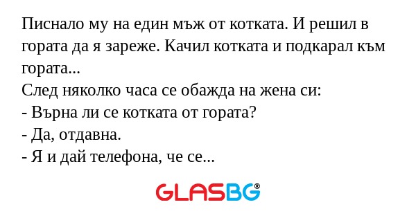 Писнало му на един мъж от котката...