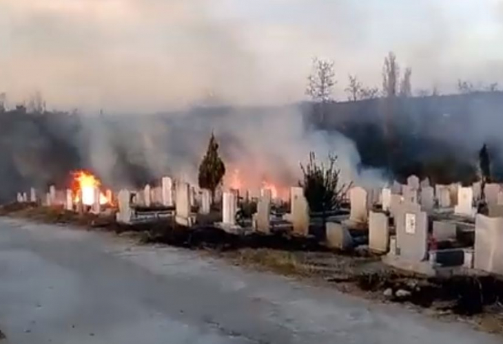 Не е за вярване какво се случи на русенските гробища, след като орди нагли цигани се изгавриха с мъртвите и опечалените им близки (СНИМКИ/ВИДЕО)