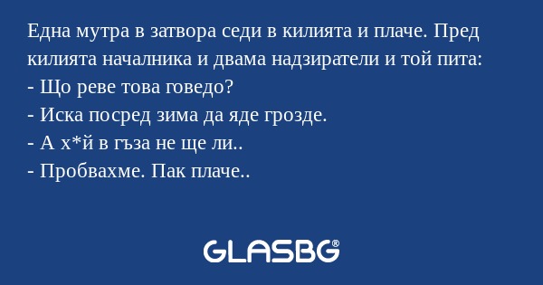Една мутра в затвора седи в килията...
