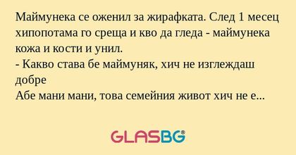 Маймунека се оженил за жирафката...