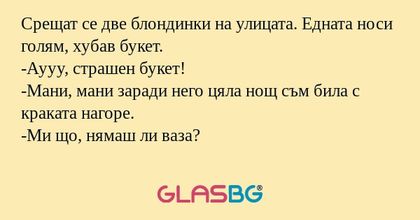 Срещат се две блондинки на улицата...