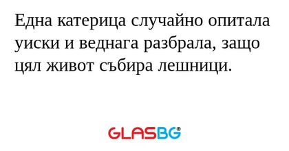 Една катерица случайно опитала...