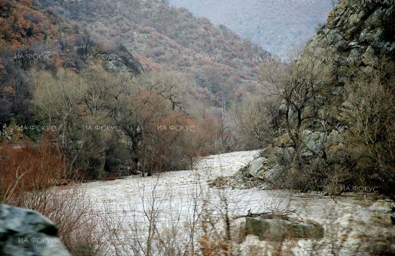 Благоевград: Ловната дружинка в Симитли пусна във водите на Струма 200 млади екземпляри полудиви патици