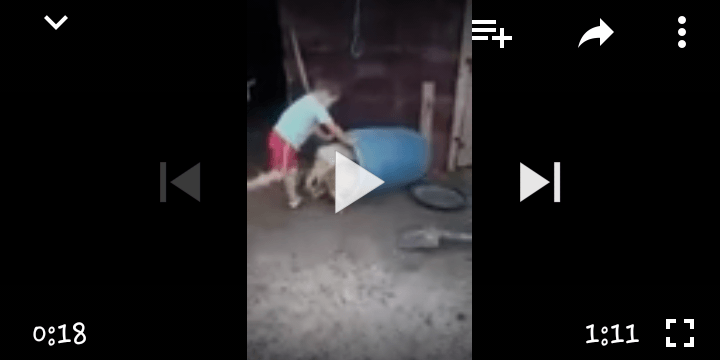 ВИДЕО покзава, как българка насърчава дете да тормози животни!!!