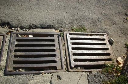 Започва пролетната дератизация в Пловдив, вижте как можете да помогнете