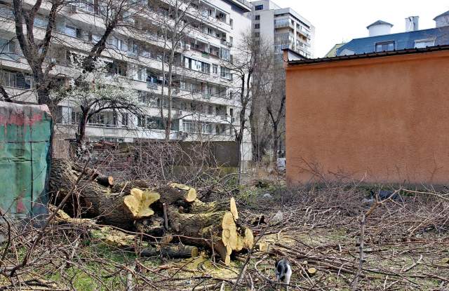 Нов бунт срещу строеж в Пловдив! Стягат жива верига на 