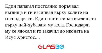 Един папагал постоянно поръчвал...