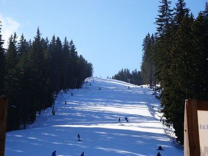 Над 90 алпийци се пускат за купа „Юлен“