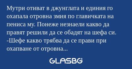 Мутри отиват в джунглата и единия...