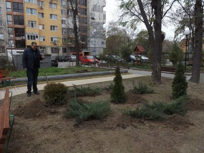 Засадиха 30 дръвчета на „Гладно поле“