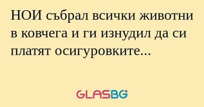 НОИ събрал всички животни в ковчега...