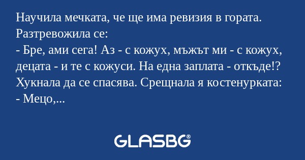 Научила мечката, че ще има ревизия...