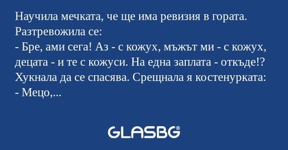 Научила мечката, че ще има ревизия...
