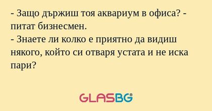 Защо държиш тоя аквариум в офиса...