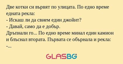 Две котки си вървят по улицата...