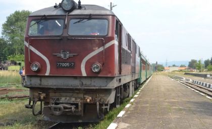 Влак помете 14 крави край жп гара „Тракия”