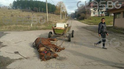 Недохранено конче колабира докато малко ромче гледа усмихнато! (СНИМКИ 18+)