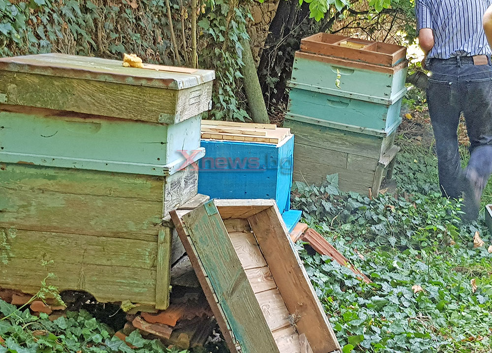 Задигнаха 3 пчелни семейства в Тополовград