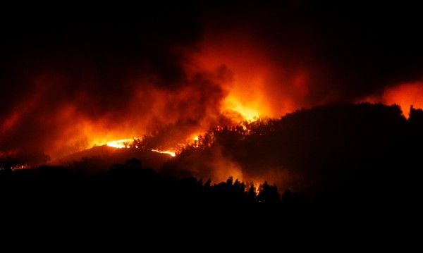 43 жертви на огъня в Португалия, няма пострадали българи