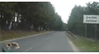 Обезобразиха гората с предизборни плакати! (ВИДЕО)