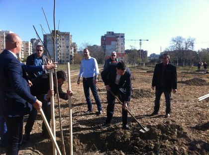 Спортисти садиха чинари и бряст на Лаута