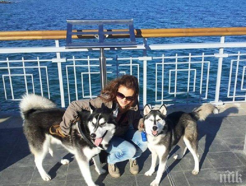 ШОК! Намериха полумъртва жена в Морската градина в Бургас, хъскито Хаус я спаси от мъчителна смърт (СНИМКИ)