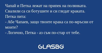 Чапай и Петка лежат на припек на...