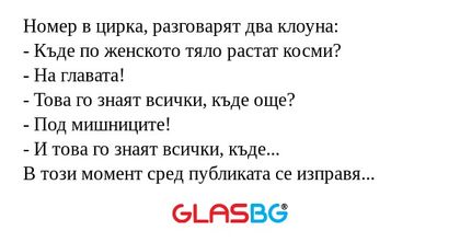 Номер в цирка, разговарят два клоуна...