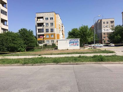Бомбите в