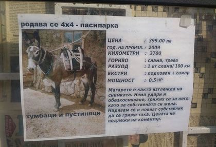 Нашенец пусна обява, че си продава магарето, мрежата се превива от смях (СНИМКА)