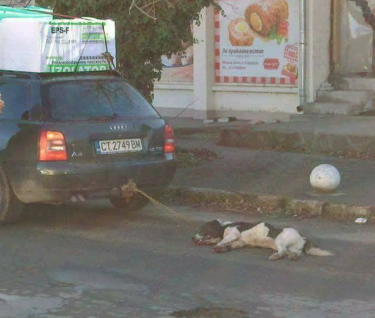 Прокуратурата погва изверга, влачил куче в Казанлъшко