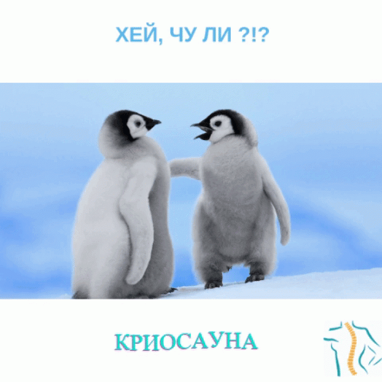 Криотерапия= здраве +красота + антистрес
