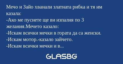 Мечо и Зайо хванали златната рибка...