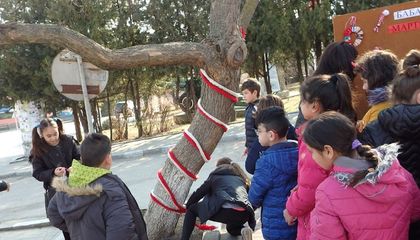 Дърво на сполуката грейна с мартеници в Ценово