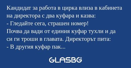 Кандидат за работа в цирка влиза...