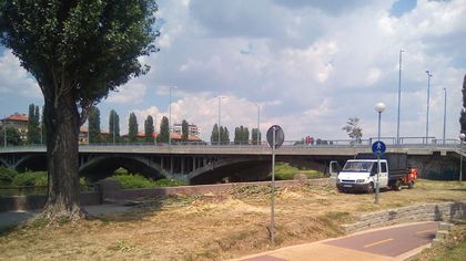 Започна голямата сеч на тополите край Марица