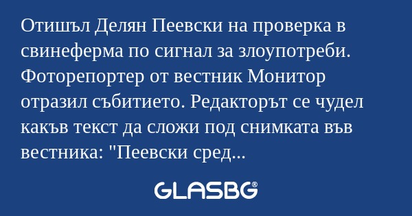 Отишъл Делян Пеевски на проверка...
