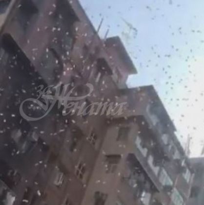 Мъж се качи на покрива на блок и започна да хвърля пачки пари оттам